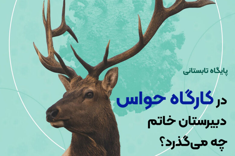 کارگاه-حواس